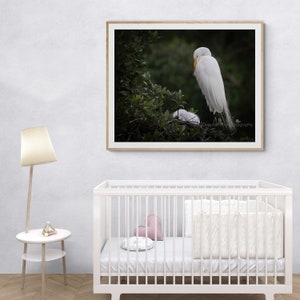 Beautiful Great Egret Nesting Chicks Photograph Acrylic Canvas Metal Lustre Giclee Print Fine Art Wall Print Gift Nursery