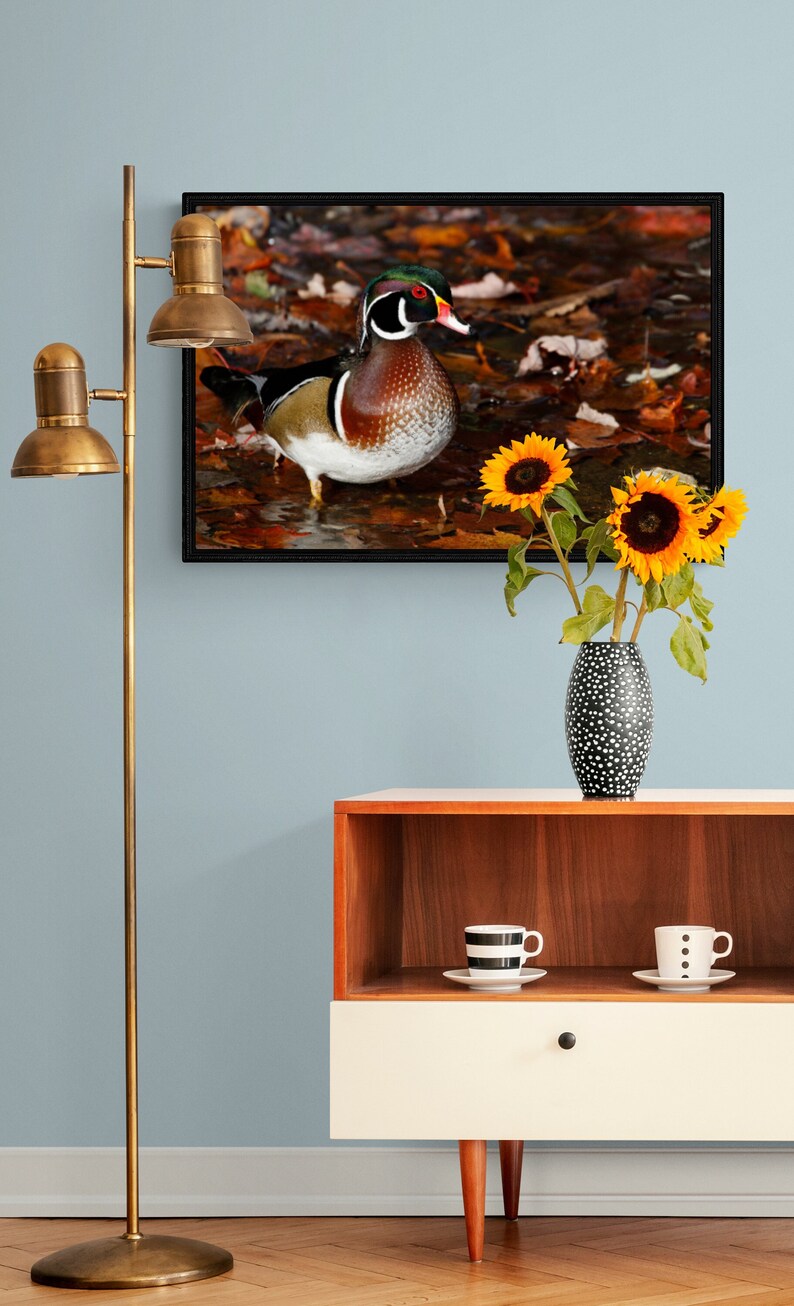 May include: A framed print of a wood duck standing in a puddle of water with fallen leaves. The duck has a colorful plumage with a green head, a red breast, and white feathers. The print is displayed on a wall above a wooden cabinet with a white drawer and two cups on the shelf.