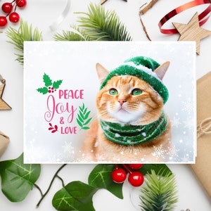 Christmas Card Holiday Cat Tabby Kitten Cats Personalize Orange Green Eyes Santa Hat Scarf Snow Cat Animal Lover Pet Pets Peace Hope Love