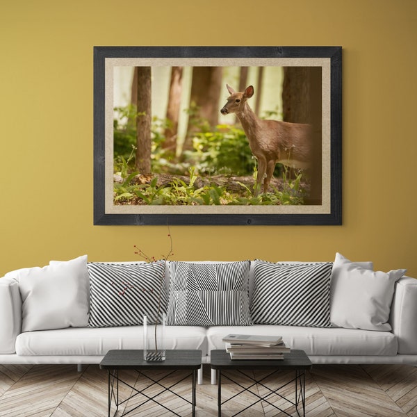 Deer Photograph Photo Print Fine Art Wall Print Photo Portrait Nature Woodland Wildlife Giclee Canvas Metal Lustre Living Room Office Doe