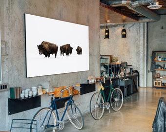 Bison Fine Art Photographic Print Photograph Photo Herd in Snow Lustre Portrait Yellowstone National Park Rustic Wildlife Nature Unique Gift