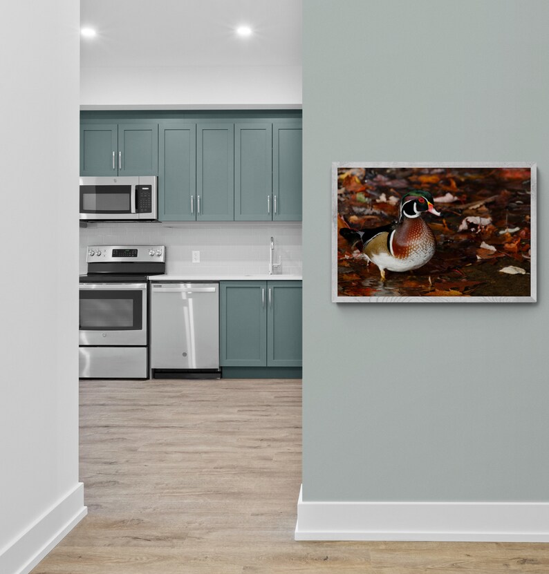May include: A kitchen with light blue cabinets, stainless steel appliances, and a wood floor. A framed print of a wood duck in a fall setting hangs on the wall.