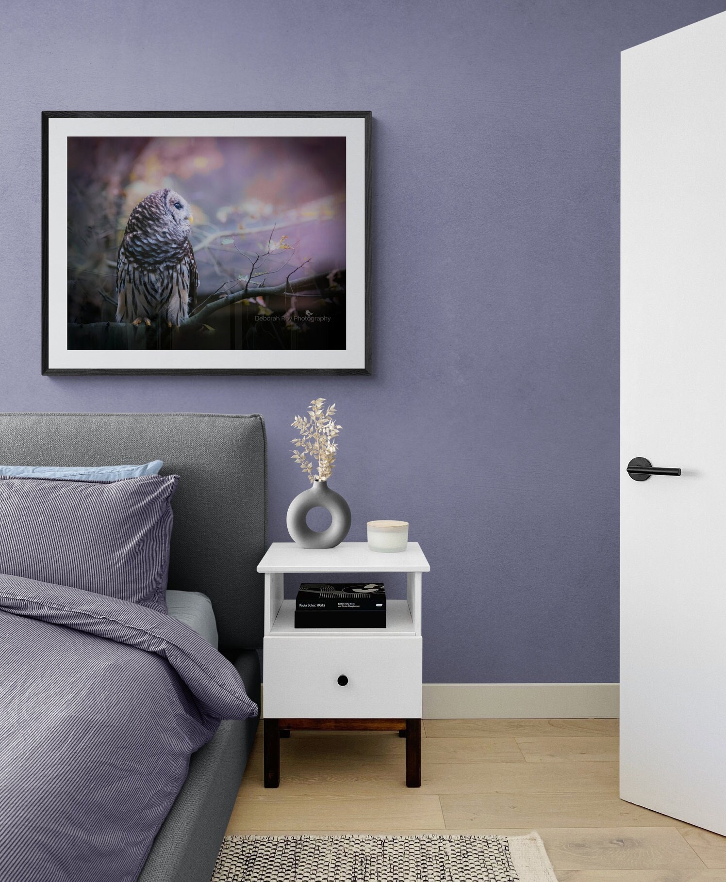 Magical Barred Owl Photo Photograph Print Portrait Lustre Fine Art Metal Canvas Acrylic Rustic Wildl