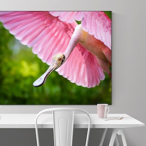 DOWNLOAD DIGITALE Bella spatola rosata fotografia stampa fotografica ritratto della fauna selvatica regalo rosa natura vivaio carta bella uccello amante arte