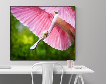 DIGITAL DOWNLOAD Beautiful Roseate Spoonbill Photograph Photo Print Wildlife Portrait Gift Pink Nature Nursery Card Lovely Bird Lover Art