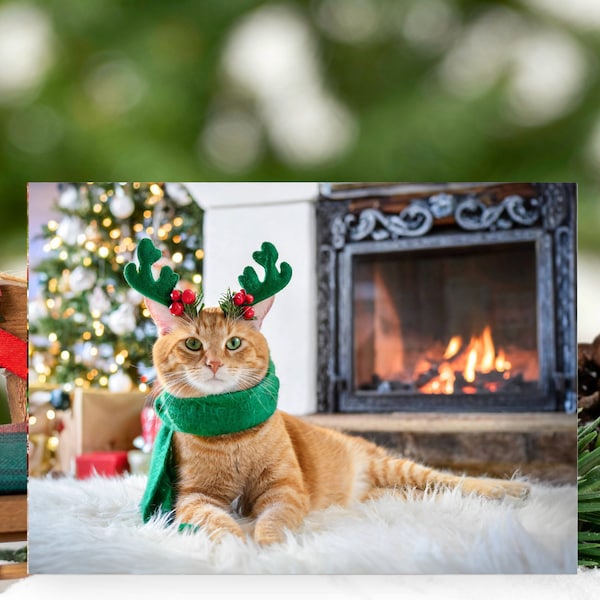 Christmas Card Holiday Cat Personalize Tabby Pet Green Eyes Reindeer Antlers Scarf Envelope BFF Friend Family Miss You Hope Peace Snow