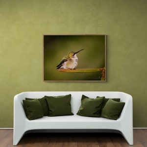 May include: A green hummingbird perched on a branch with a green background. The hummingbird is facing to the right and has its wings folded. The image is framed in a wooden frame.
