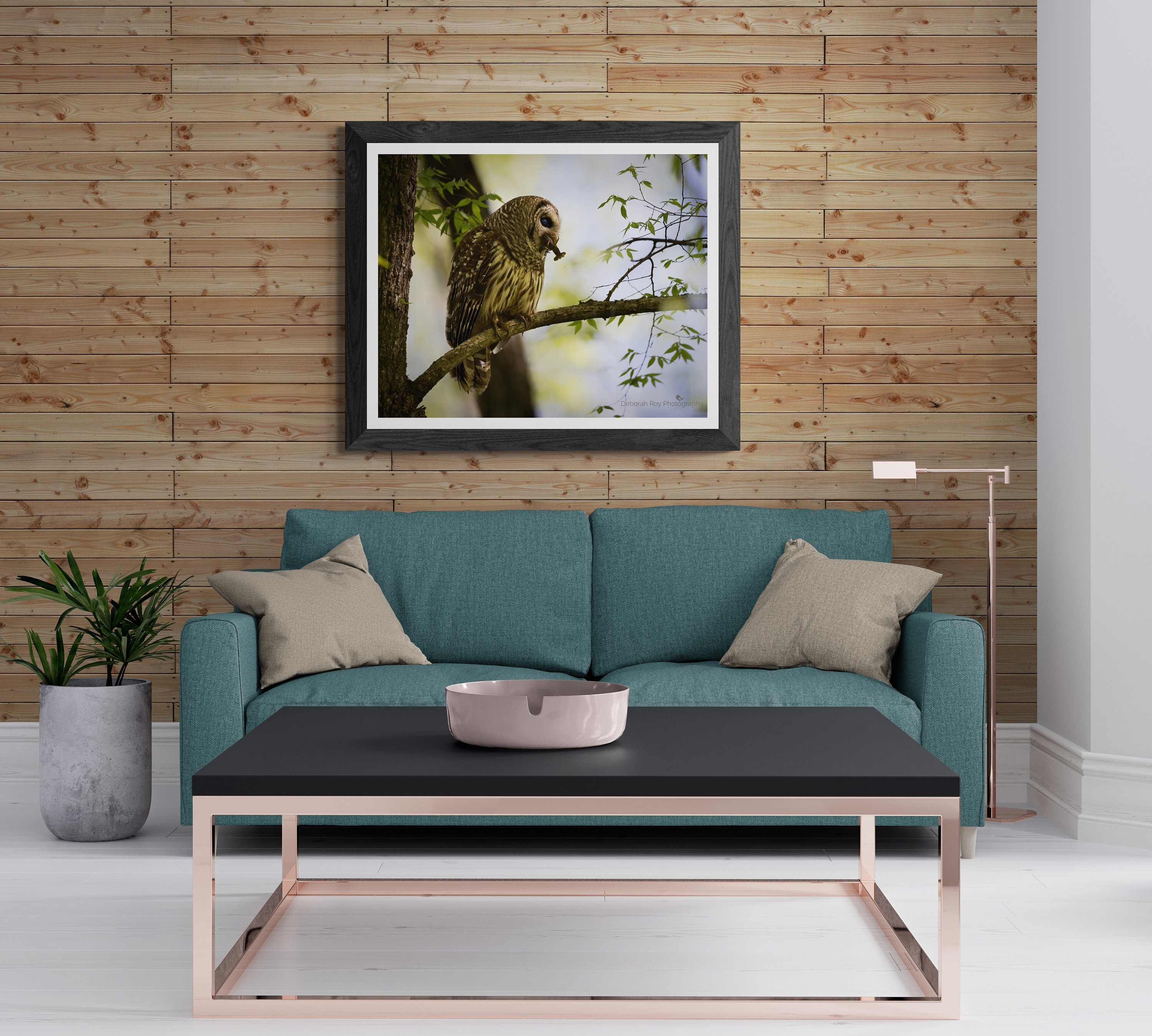 Barred Owl Fine Art Print Photograph Photo Crayfish Woodland Forest Photo Gift Fine Art Wall Decor G