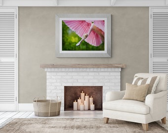 Roseate Spoonbill Photograph Photo Print Wildlife Portrait Gift Pink Giclee Metal Canvas Lustre