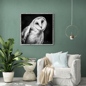 Barn Owl Photograph Print Black and White Photo Gift Fine Art Wall Print Giclee Metal Acrylic Lustre Living Room Nursery Office Bedroom LOVE