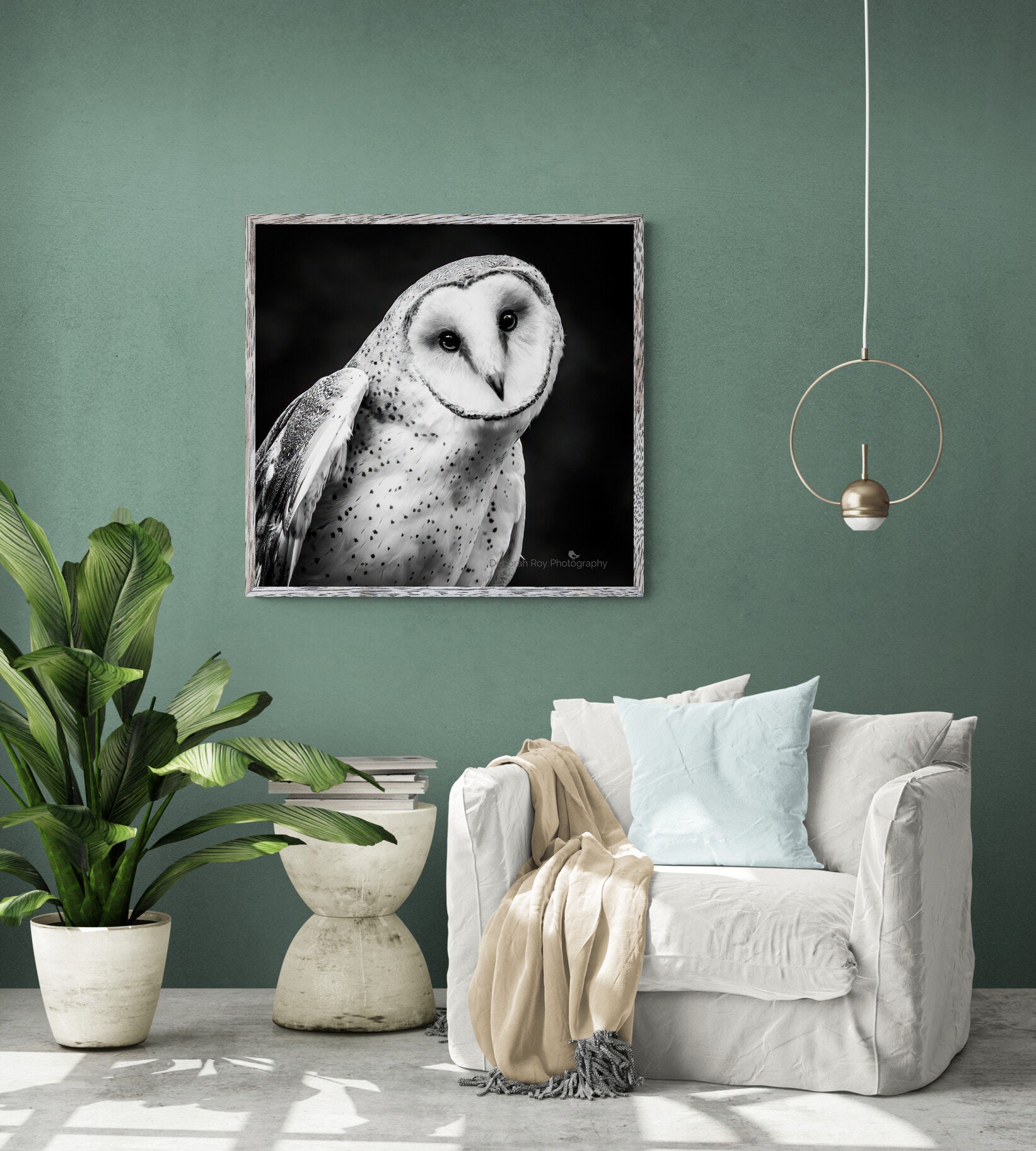 Barn Owl Photograph Print Black and White Photo Gift Fine Art Wall Print Giclee Metal Acrylic Lustre