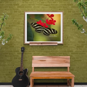 May include: A black and white zebra butterfly perched on a red flower with green foliage in the background. The image is framed and displayed on a wall above a wooden bench.