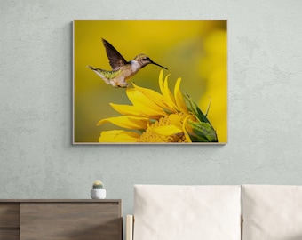 Hummingbird Fine Art Print Photograph Photo Ruby-throated  Sunflower Wall Decor Canvas Giclee Acrylic Metal Conservation Unique Gift LOVE