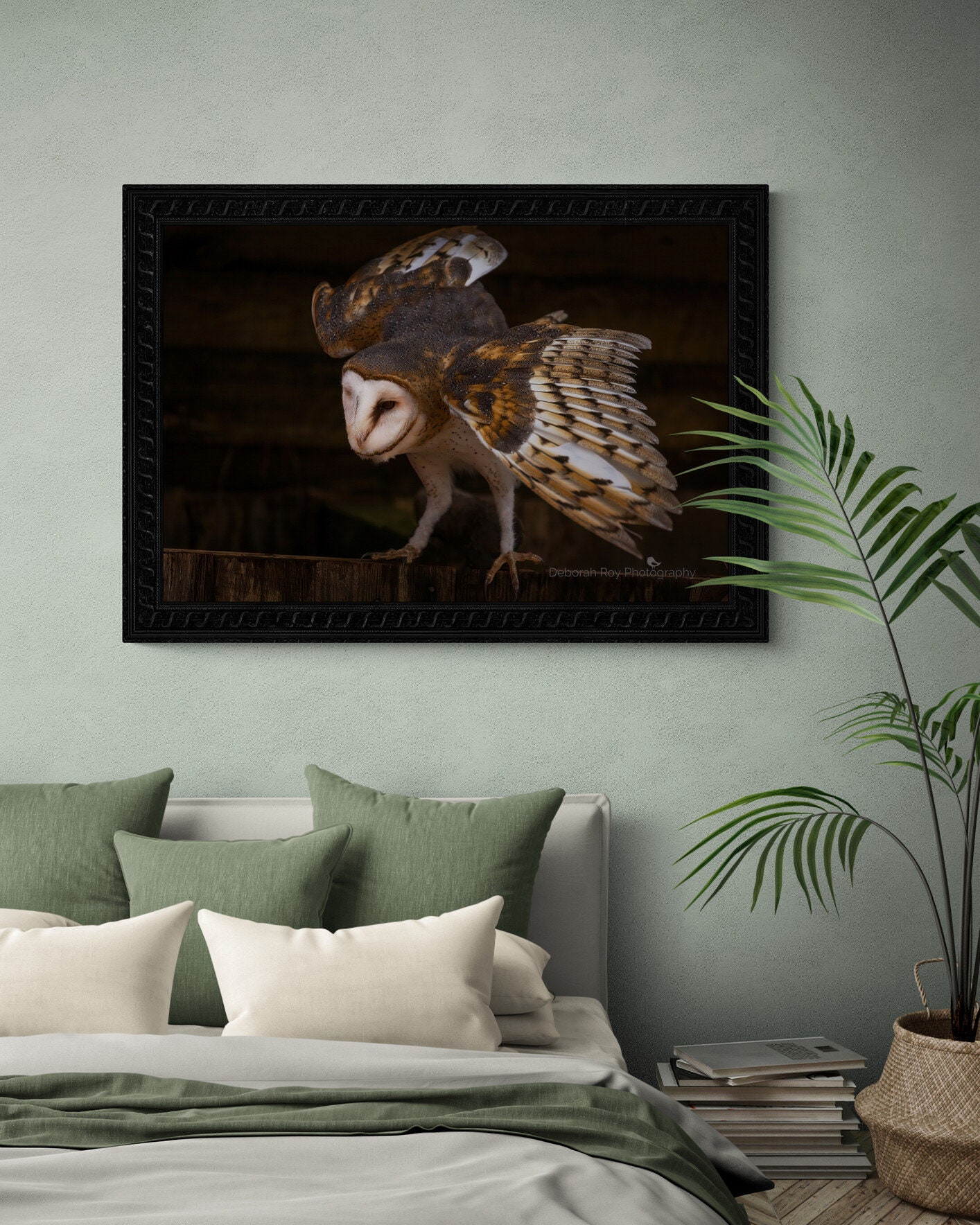 Barn Owl Photograph Print Portrait Fine Art Wall Canvas Metal Giclee Lustre Gift Owls Bird Office Fa