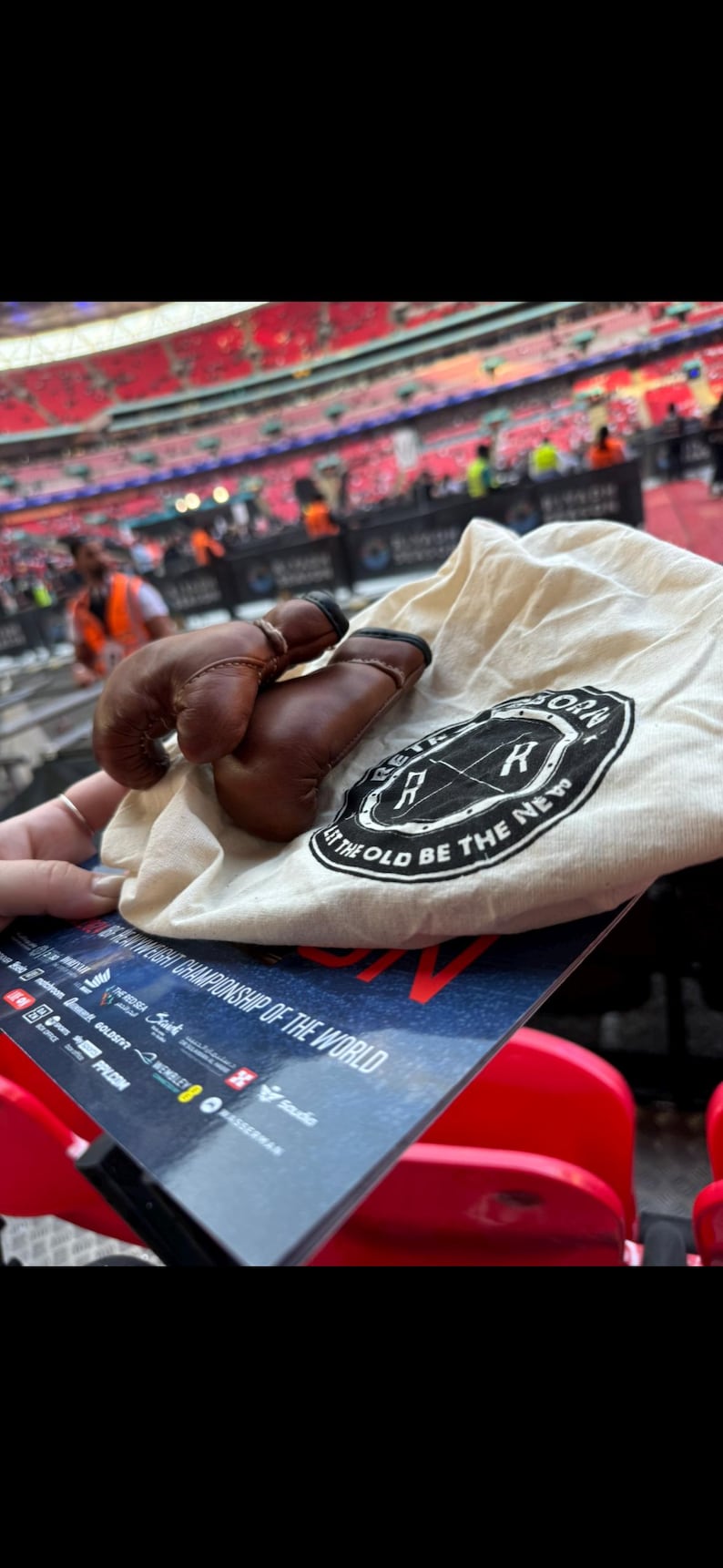 May include: A pair of brown leather boxing gloves in a white drawstring bag with a black logo that says "Reborn" and "Let the old be the new".
