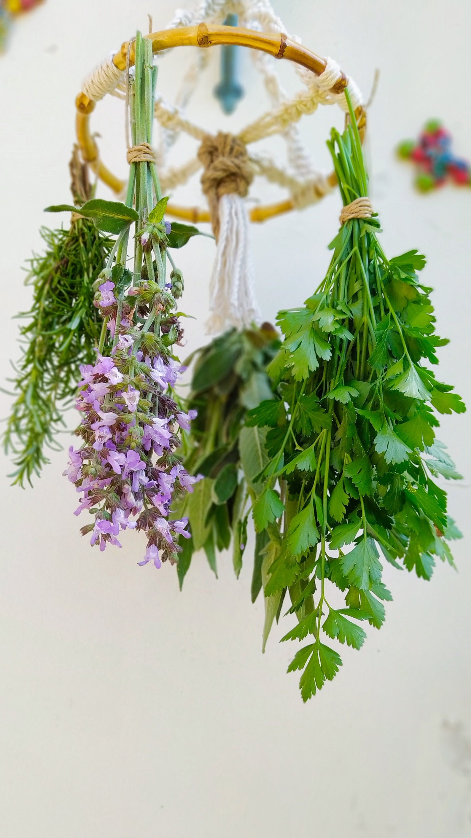 Bamboo hanging herb drying rack macrame garden herb rack Etsy