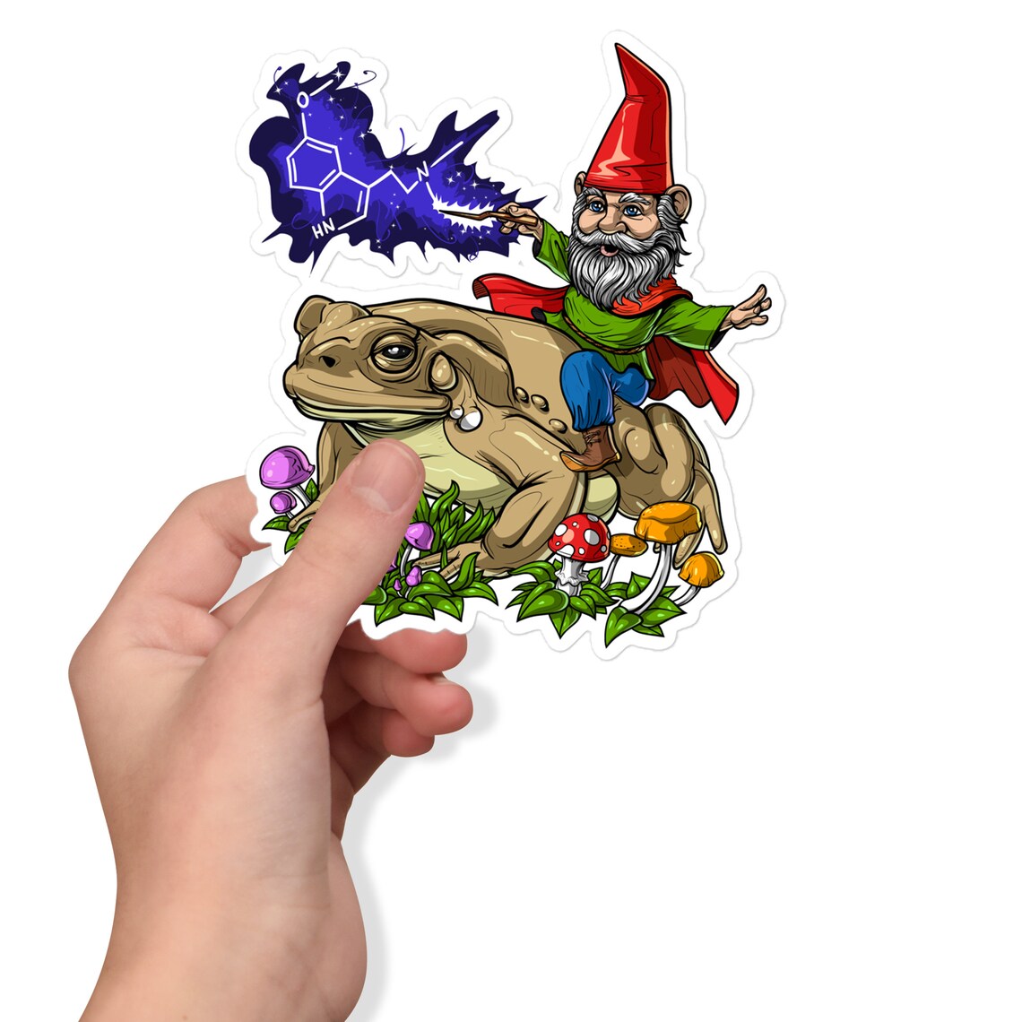 Gnome Riding Bufo Alvarius Toad Vinyl Sticker Psychedelic - Etsy