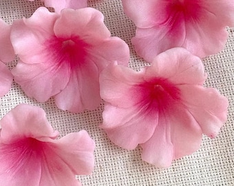 Puede incluir: Seis flores de color rosa pálido con centros rosa oscuro dispuestas sobre una superficie texturizada de color crema. Los pétalos son delicados y ligeramente rizados. Estas flores decorativas se pueden utilizar para manualidades o adornos.