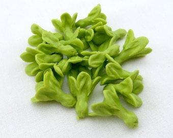 May include: A group of 14 light green flower buds, resembling small, delicate blossoms, are arranged in a cluster on a white background.