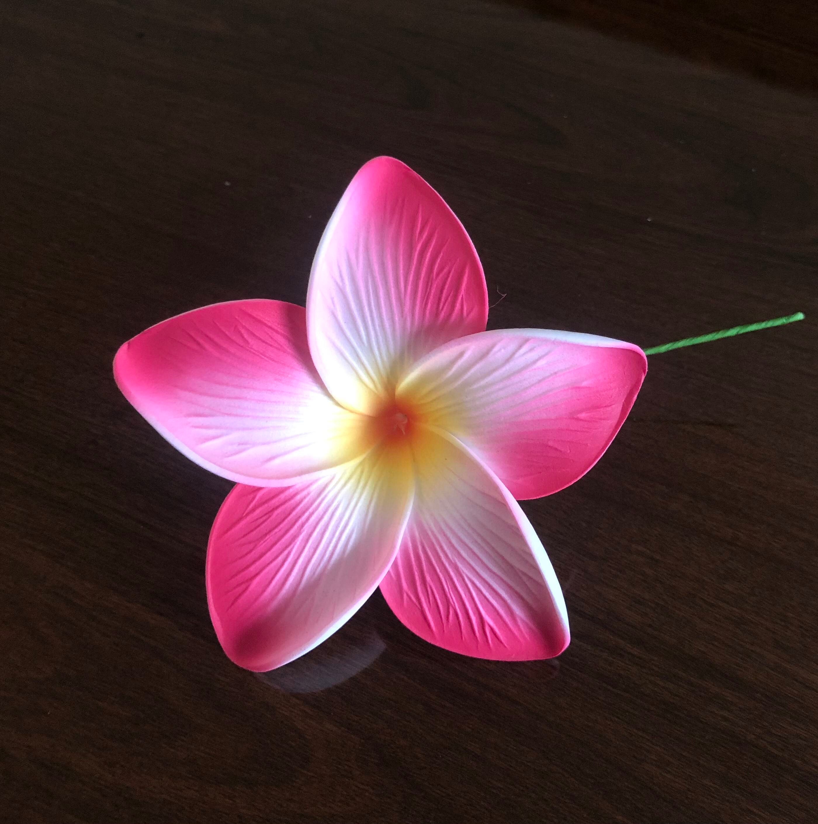 Amazon.com: Boho Flower Stud Earrings for Women,Chic Pink