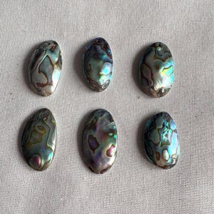 May include: Six iridescent abalone shell pendants in oval shapes with a hole at the top for stringing. The shells have a variety of colors including green, blue, purple, and brown.
