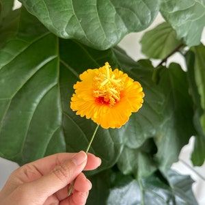 Yellow Hibiscus Foam Flower, 3&quot; Ear Flower, Hair Pick / Hawaiian Flower, Tropical Flower, Hula Flowers, Hula Dance, Real