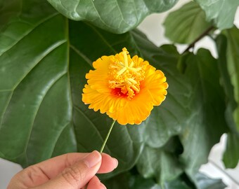 Yellow Hibiscus Foam Flower, 3" Ear Flower, Hair Pick / Hawaiian Flower, Tropical Flower, Hula Flowers, Hula Dance, Real