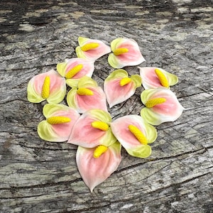 May include: A collection of artificial anthurium flowers arranged on a weathered wooden surface. The flowers feature pink and yellow spathes with yellow spadices. The wooden surface has a natural, aged appearance.