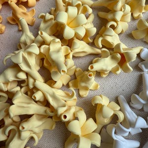 Natural Yellow Puakenikeni Clay Flowers, 23mm, Sturdy Waterproof Heat & Break Resistant, DIY Lei Making or Car Lei, Handmade, Keni-03
