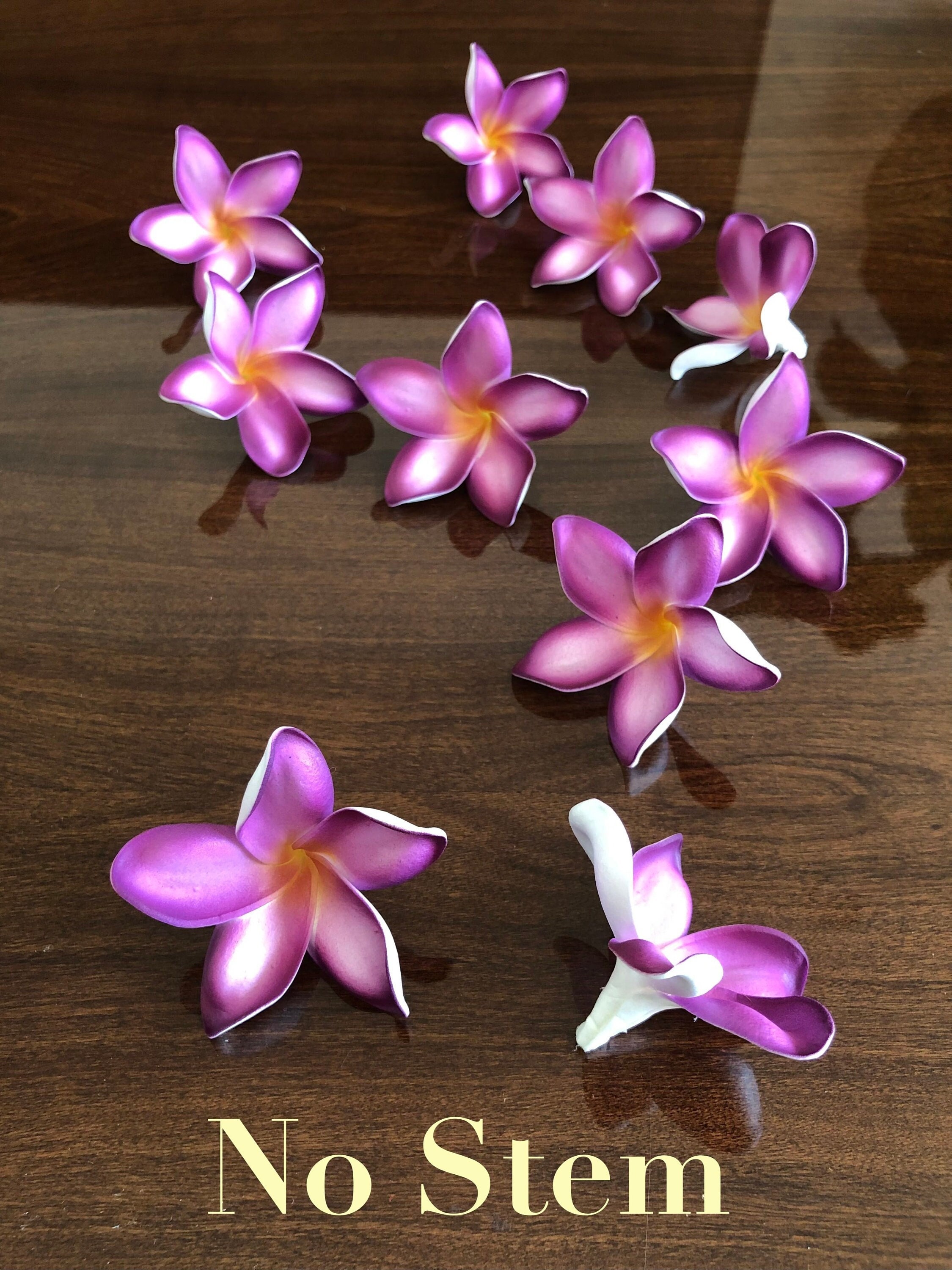 Hawaiian Pua Melia/plumeria Flower. Foam Flowers With Ti Leaves on