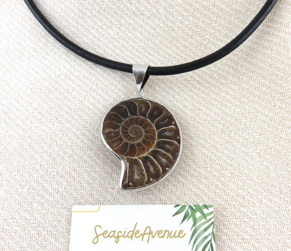 Genuine Shell Necklace Ammonite Fossil Necklace Relic Necklace