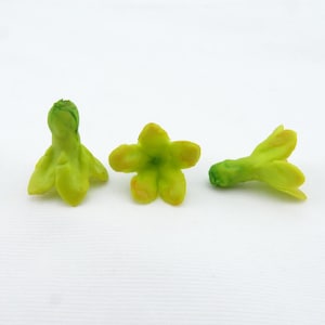 Lebensechte grüne Pakalana Tonblumen zur Schmuckherstellung, Farbverlauf hellgrüne Blumen/DIY Blumen, handgefertigte Tonperlen