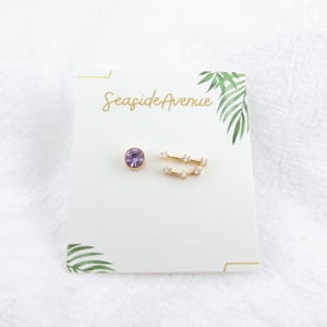 Zodiac Constellation Gift Earring Studs, Birthstone with Diamond  Constellation, Horoscope Earrings,Gift for Her (Sagittarius and Capricorn)