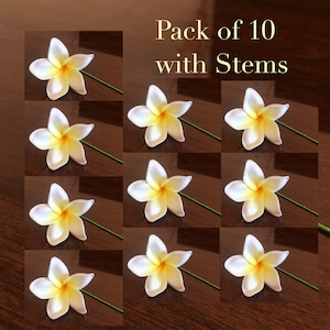 White and Yellow Plumeria, Artificial Foam Flower, Ear Flower / 2.25" Ear Flower with Stem, Frangipani, Pua Pack of 10