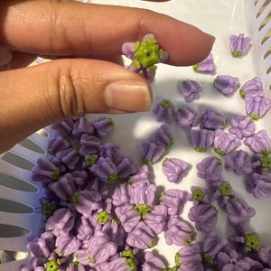 May include: A hand holding a small, lavender-colored flower with a green center. The flower is one of many in a white basket. The flowers have a detailed, textured appearance, suggesting they are handmade or crafted.