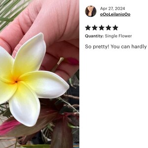 White and Yellow Plumeria, Artificial Foam Flower, Ear Flower / 2.25" Ear Flower with Stem, Frangipani, Pua image 2
