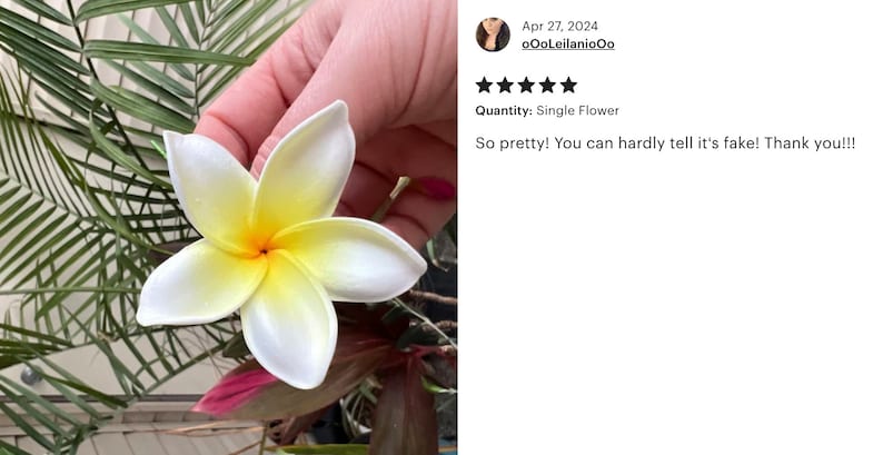 White and Yellow Plumeria, Artificial Foam Flower, Ear Flower / 2.25" Ear Flower with Stem, Frangipani, Pua image 2