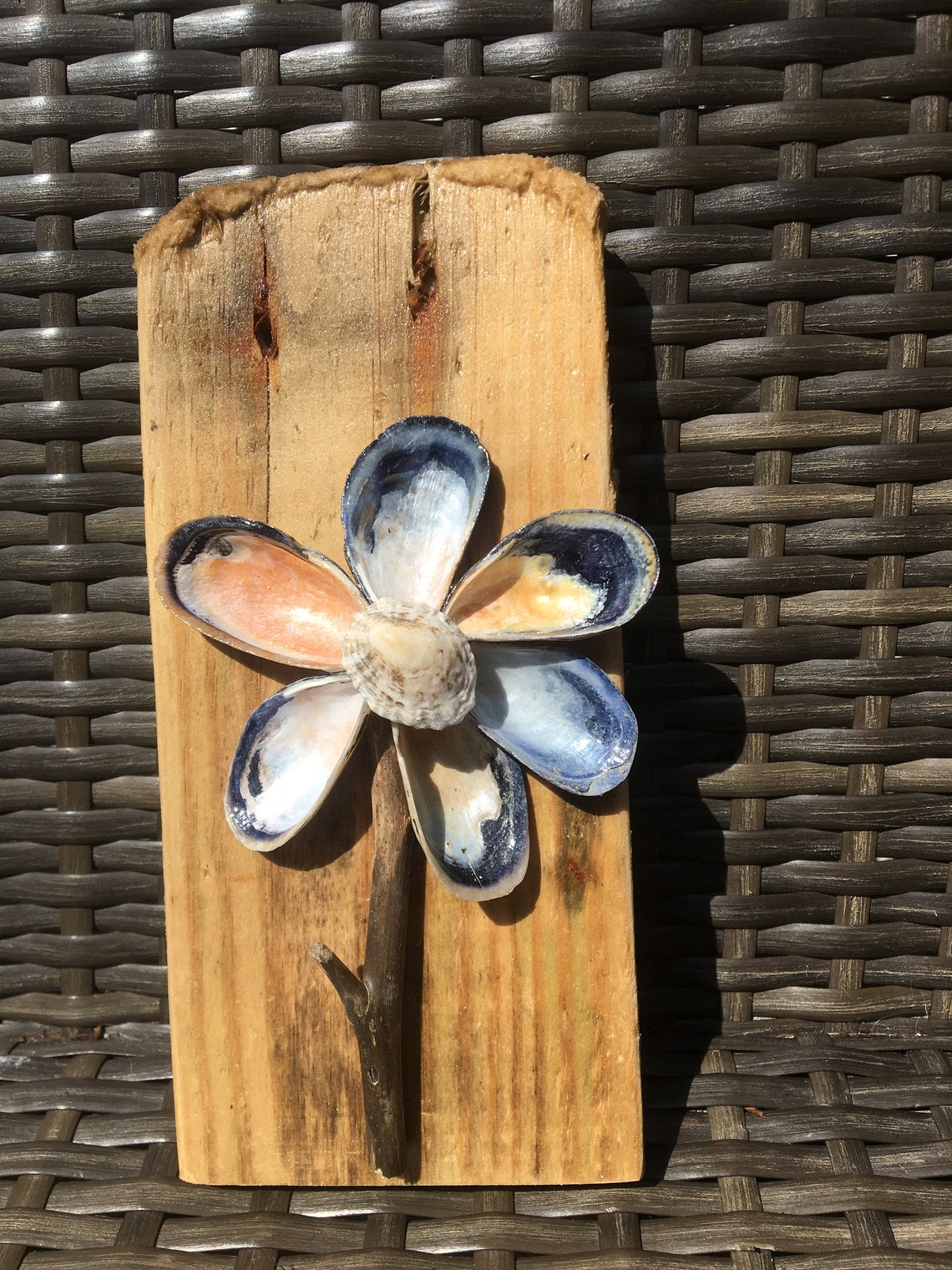 Mussel Shell Flower on Driftwood Wall Plaque Etsy
