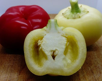 20 Fresh Seeds Alma Paprika Peppers Make Your Own Paprika * * Hot Apple