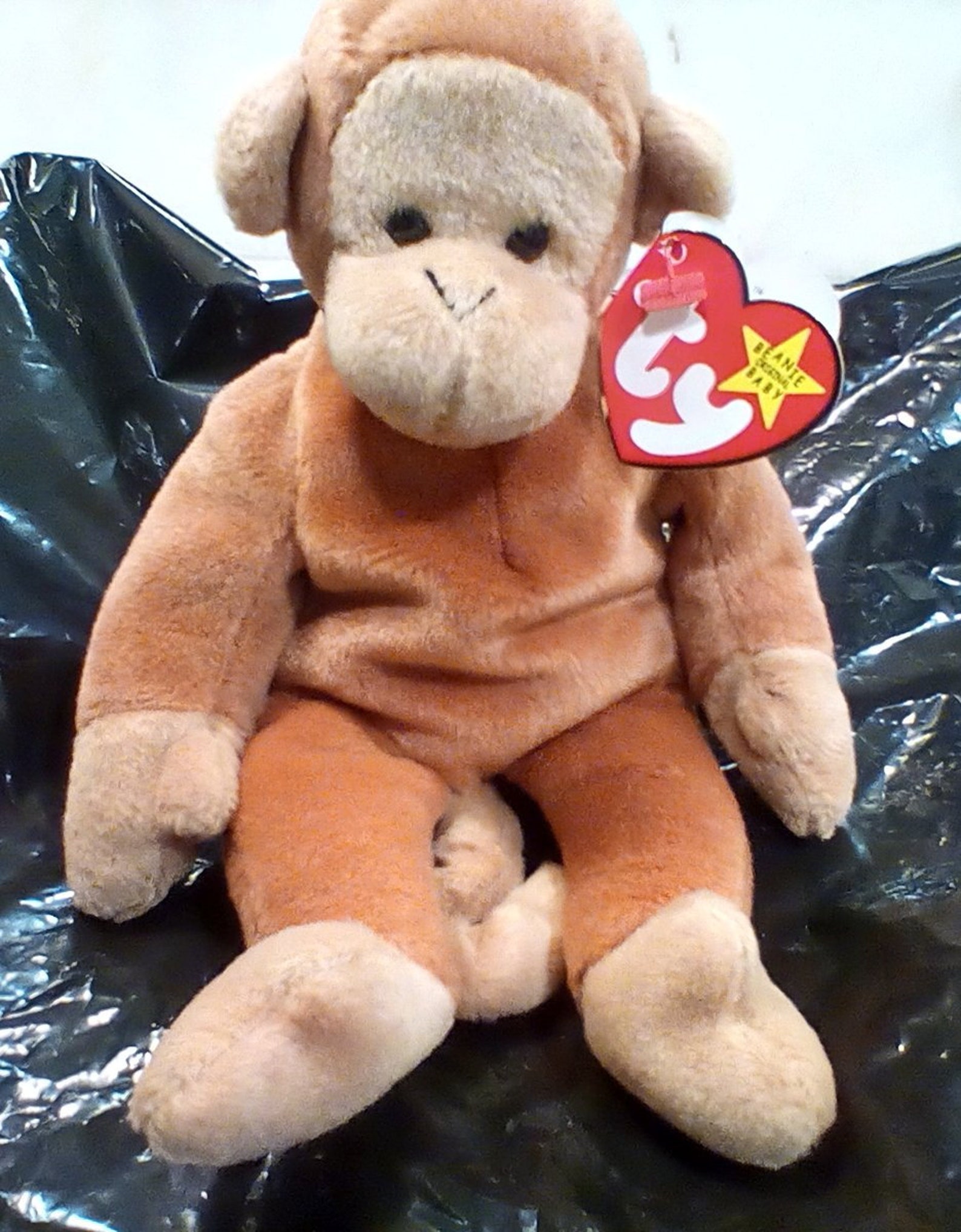 Bongo Beanie Baby rare Retired | Etsy