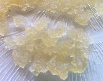 Organic Live Water Kefir Grains 3 oz. (+/- 1/2 cup) Probiotic Ferment with Eggshells