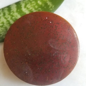 Turmeric poppy seed lemon Face Body Soap, White Turmeric Soap | Mild Exfoliating