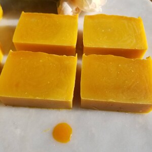 Seabuckthorn Tea Tree soap Essential oil | calming skin | Face & Body