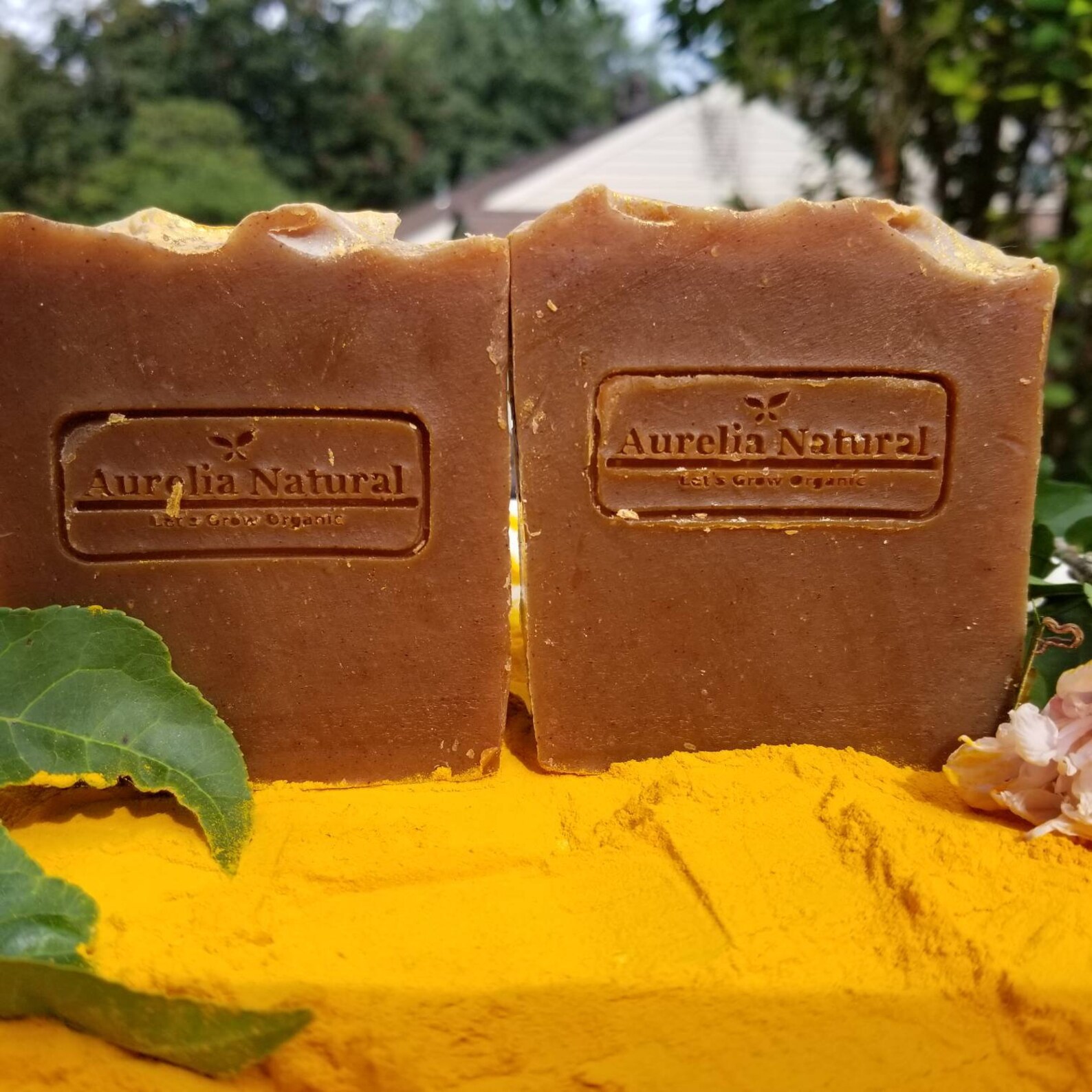 Turmeric Papaya Honey Lemon Soap Ripe Papaya Soap Skin Etsy