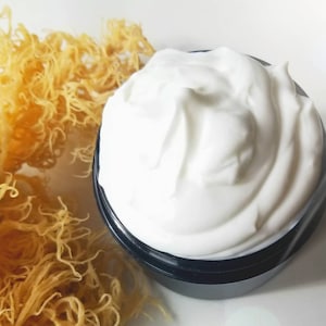 Organic Wild Sea Moss Hibiscus Niacinamide Face Moisturizer