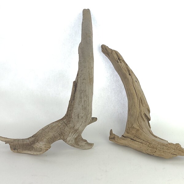 Driftwood for Sale Etsy