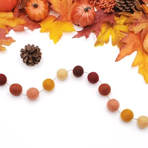 May include: A garland of felt balls in shades of orange, brown, and red. The garland is strung on a thin wire and is perfect for fall decor.