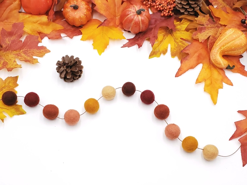 May include: A garland of felt balls in shades of orange, brown, and red. The garland is strung on a thin wire and is perfect for fall decor.