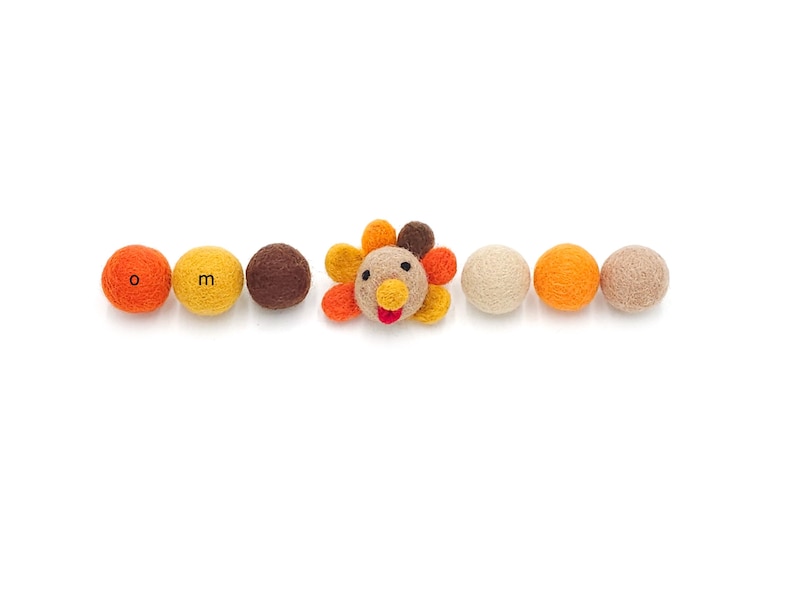 May include: A line of felt balls in orange, yellow, brown, and beige colors with a felt turkey in the center. The turkey has a red beak and black eyes.