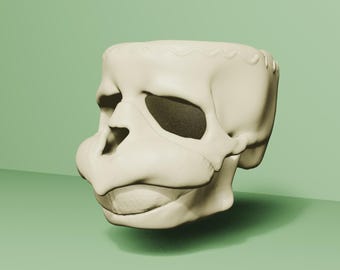 3D Printable Kappatorus fluvialensis "Kappa" Skull – Scientific Fantasy Model